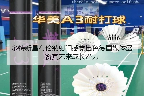 多特新星布伦纳射门感觉出色德国媒体盛赞其未来成长潜力